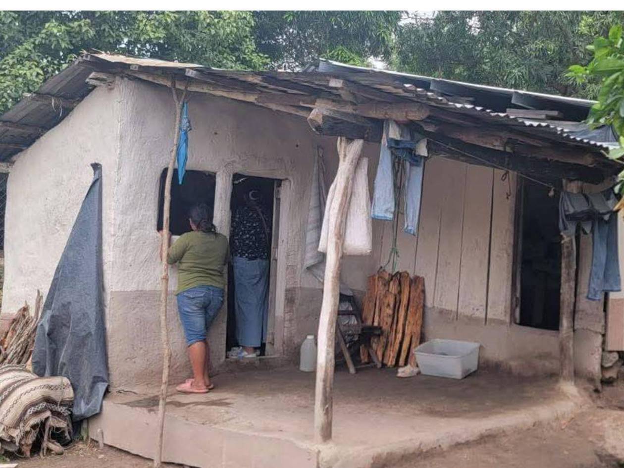 Su padre cortó una rama sin percatarse que caería sobre él: niño de 8 años muere en Yoro