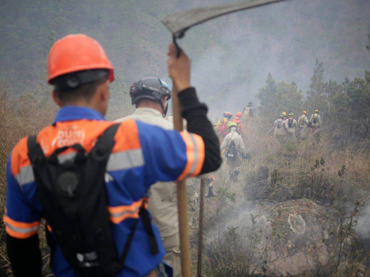 FF AA combaten nueve incendios forestales durante el fin de semana
