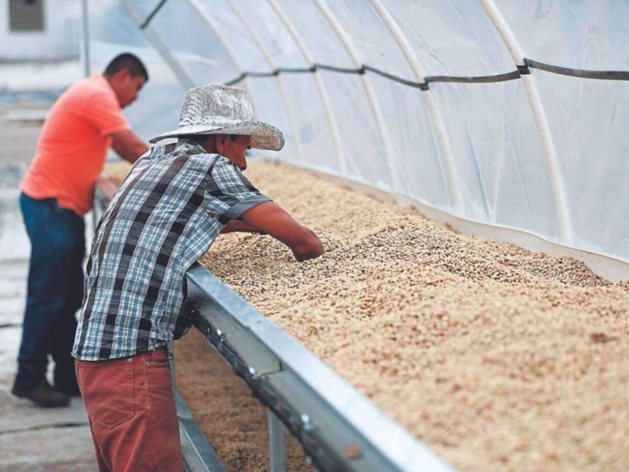 ¿Cuáles son los destinos de las exportaciones de café hondureño hasta abril de 2025?
