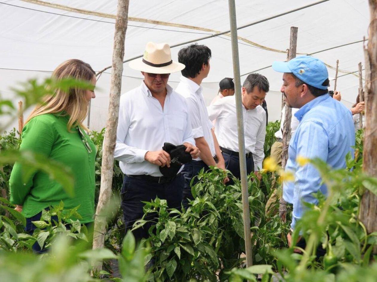 Implementan modelo de agricultura inteligente en La Paz e Intibucá