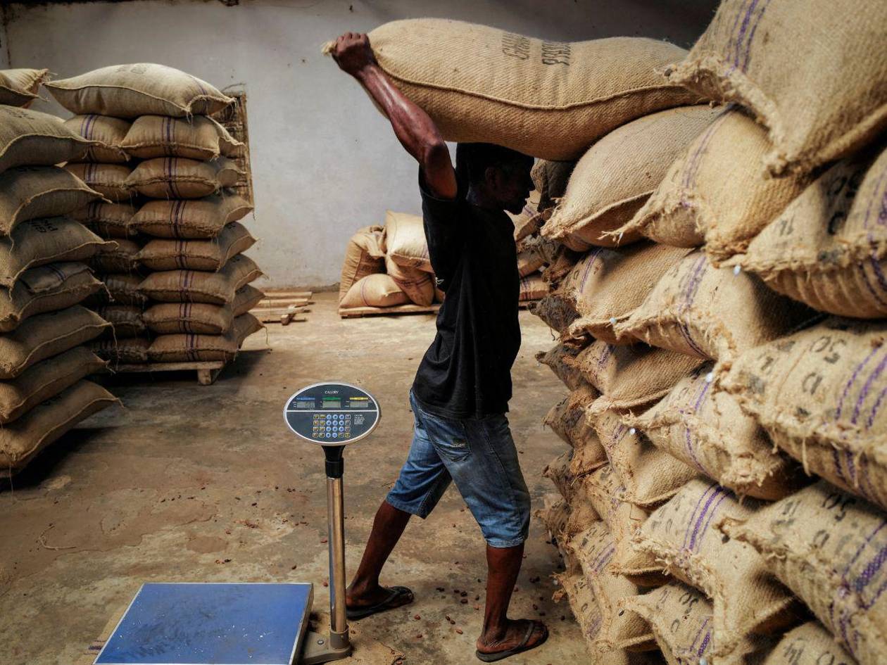 Las barras que ya no son “chocolate con leche”: fabricantes reformulan ante el alto costo del cacao