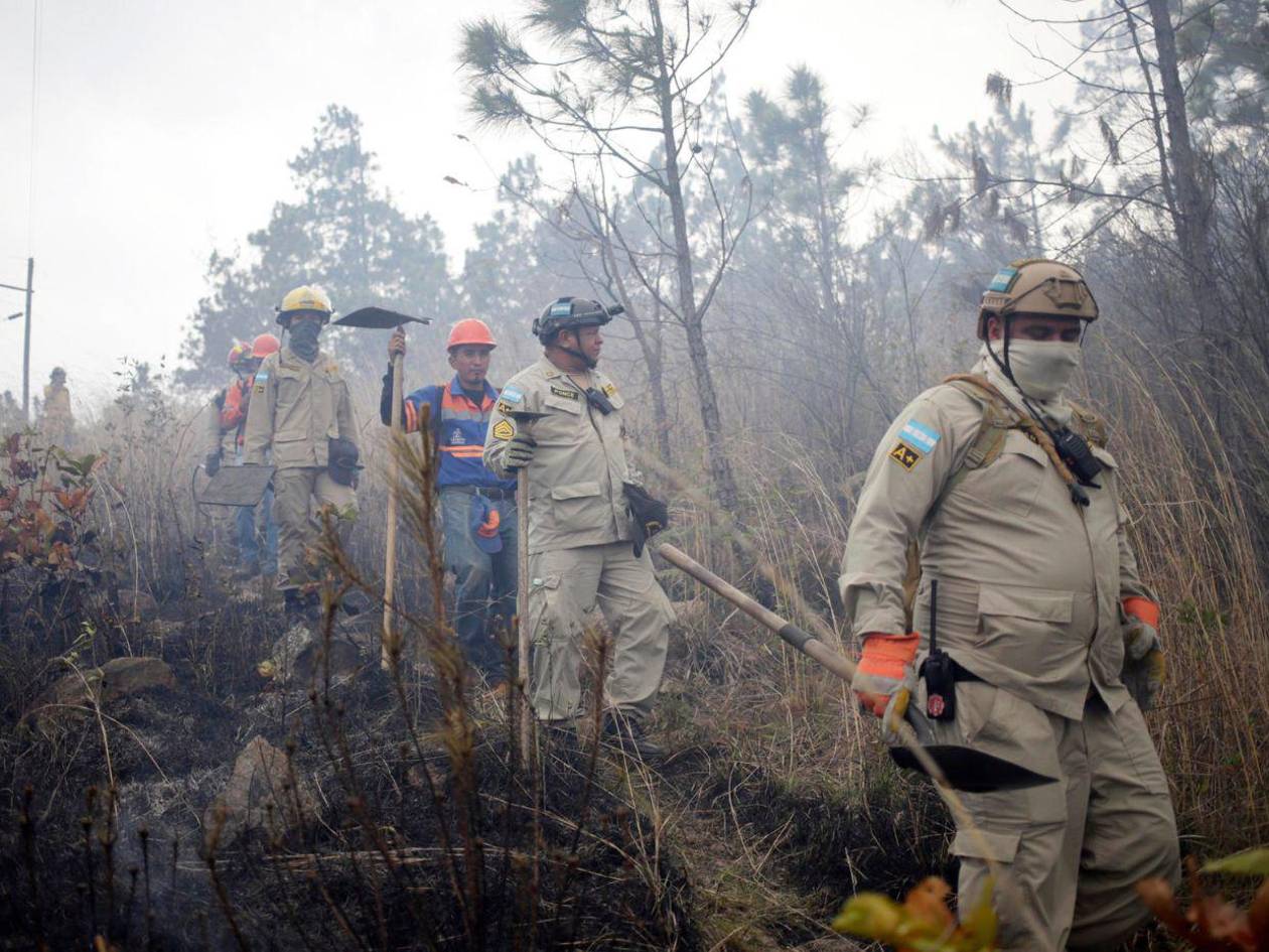 FF AA combaten nueve incendios forestales durante el fin de semana