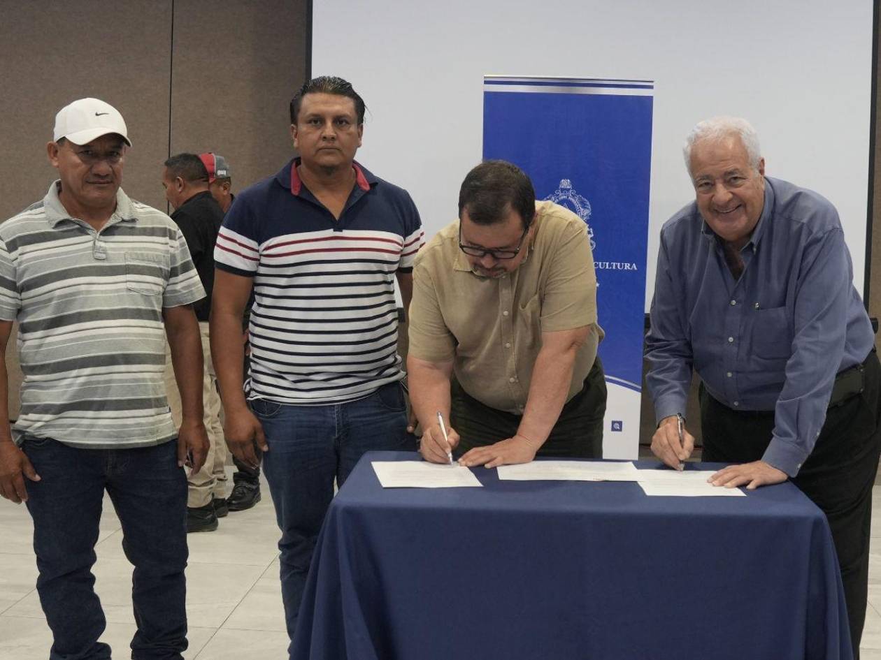 Productores de arroz garantizan la venta total de la cosecha a 545 lempiras por quintal