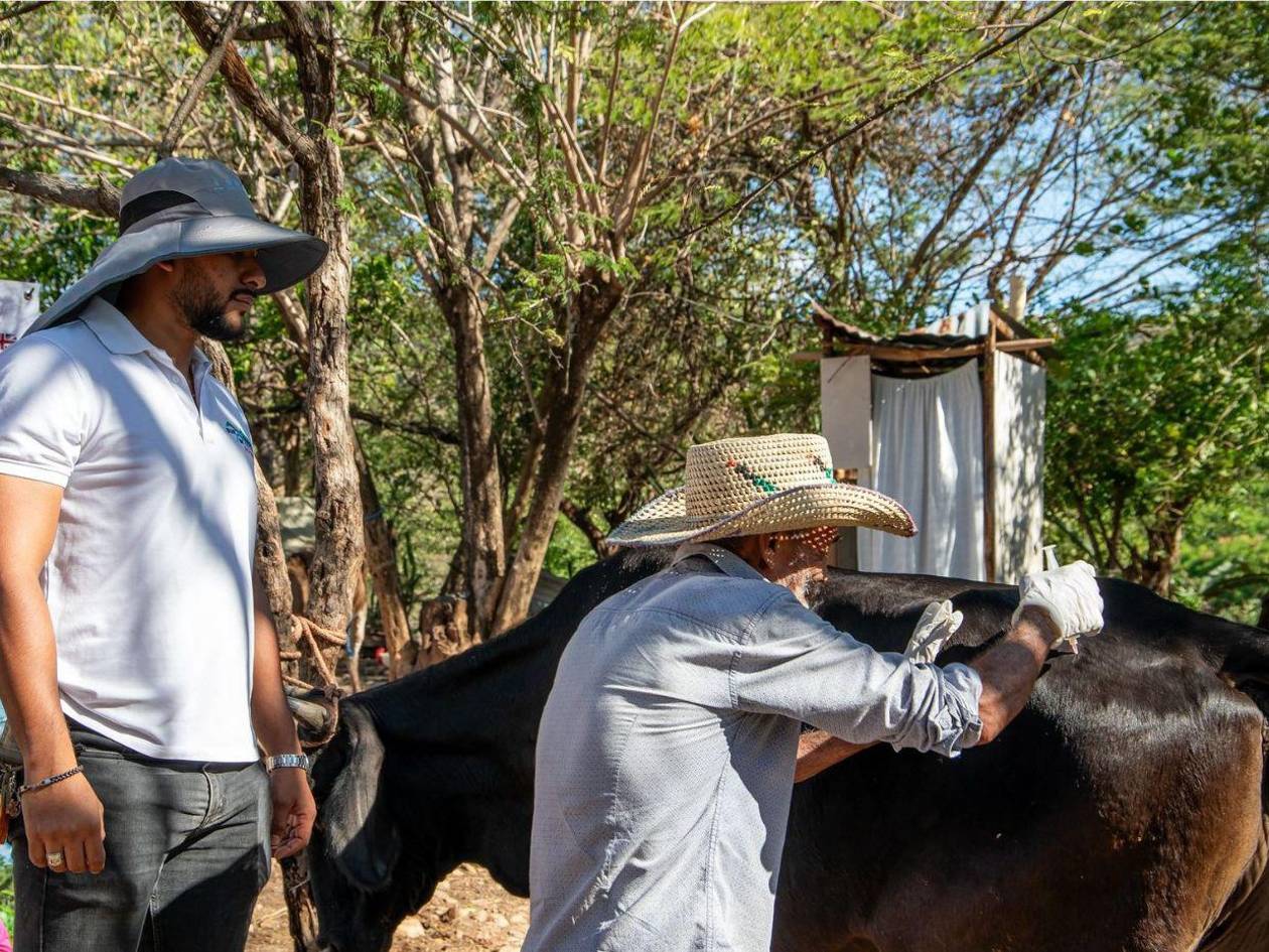 Acción Anticipatoria, la clave para proteger zonas vulnerables a sequías y lluvias en Honduras