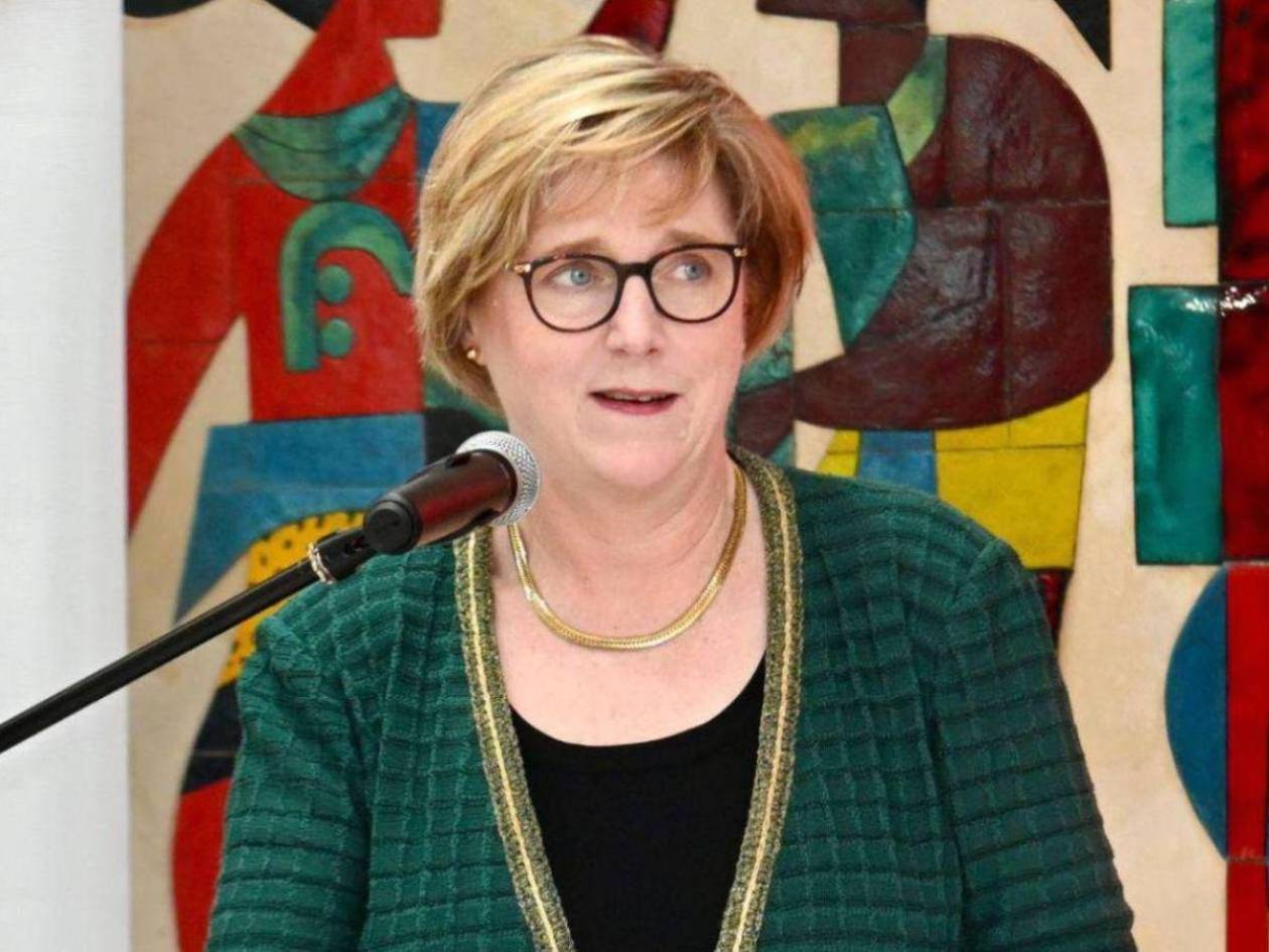 Declaratoria oficial de primarias marca nueva etapa electoral en Honduras: Laura Dogu