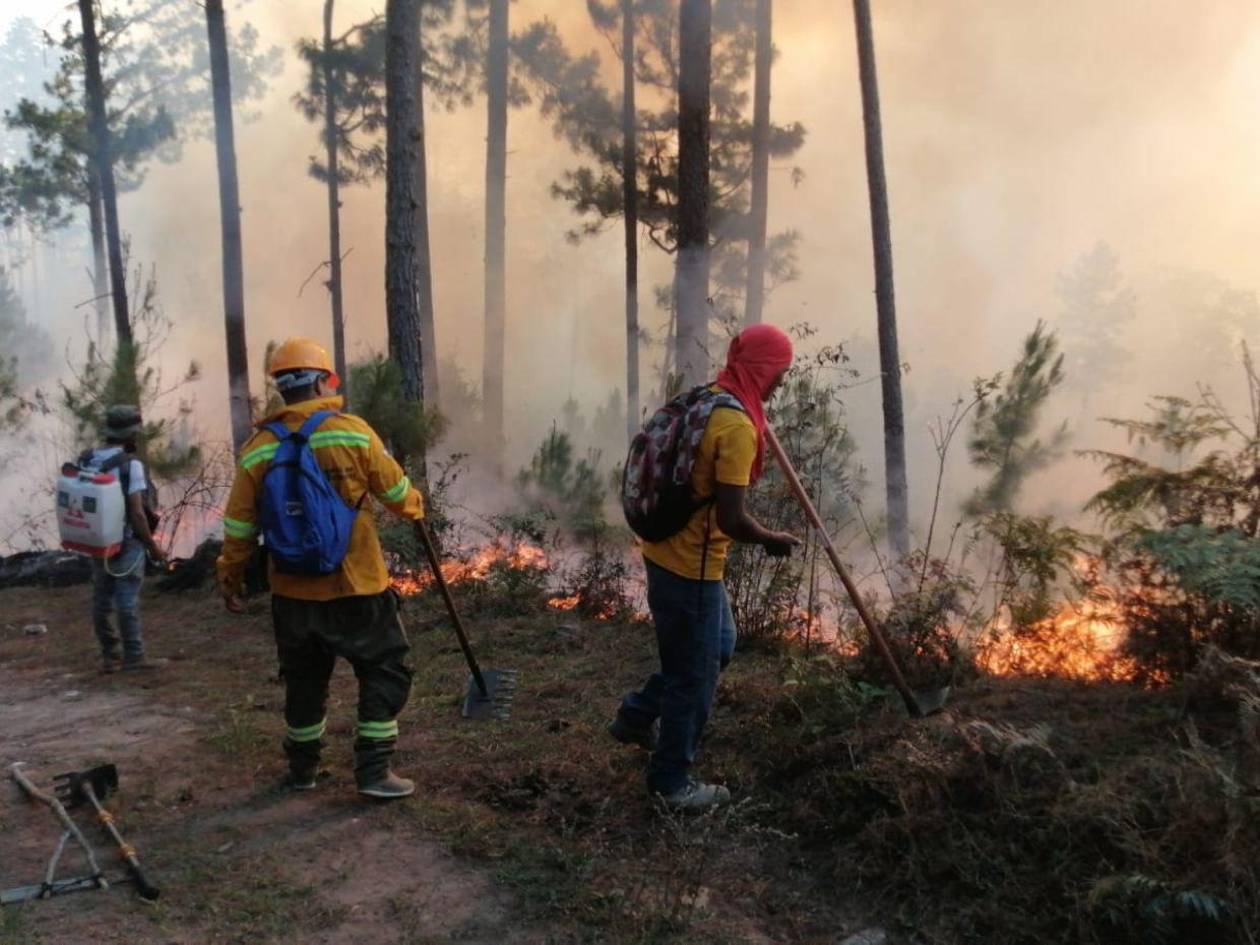 Este año se registran en promedio al menos dos incendios diarios en Honduras