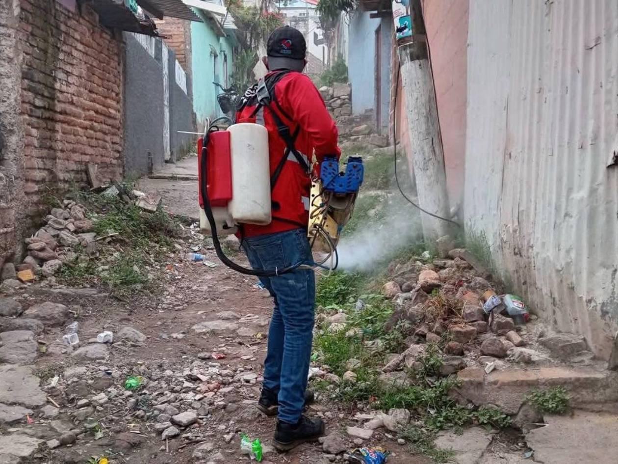 Alcaldía realiza una campaña de fumigación en el Distrito Central