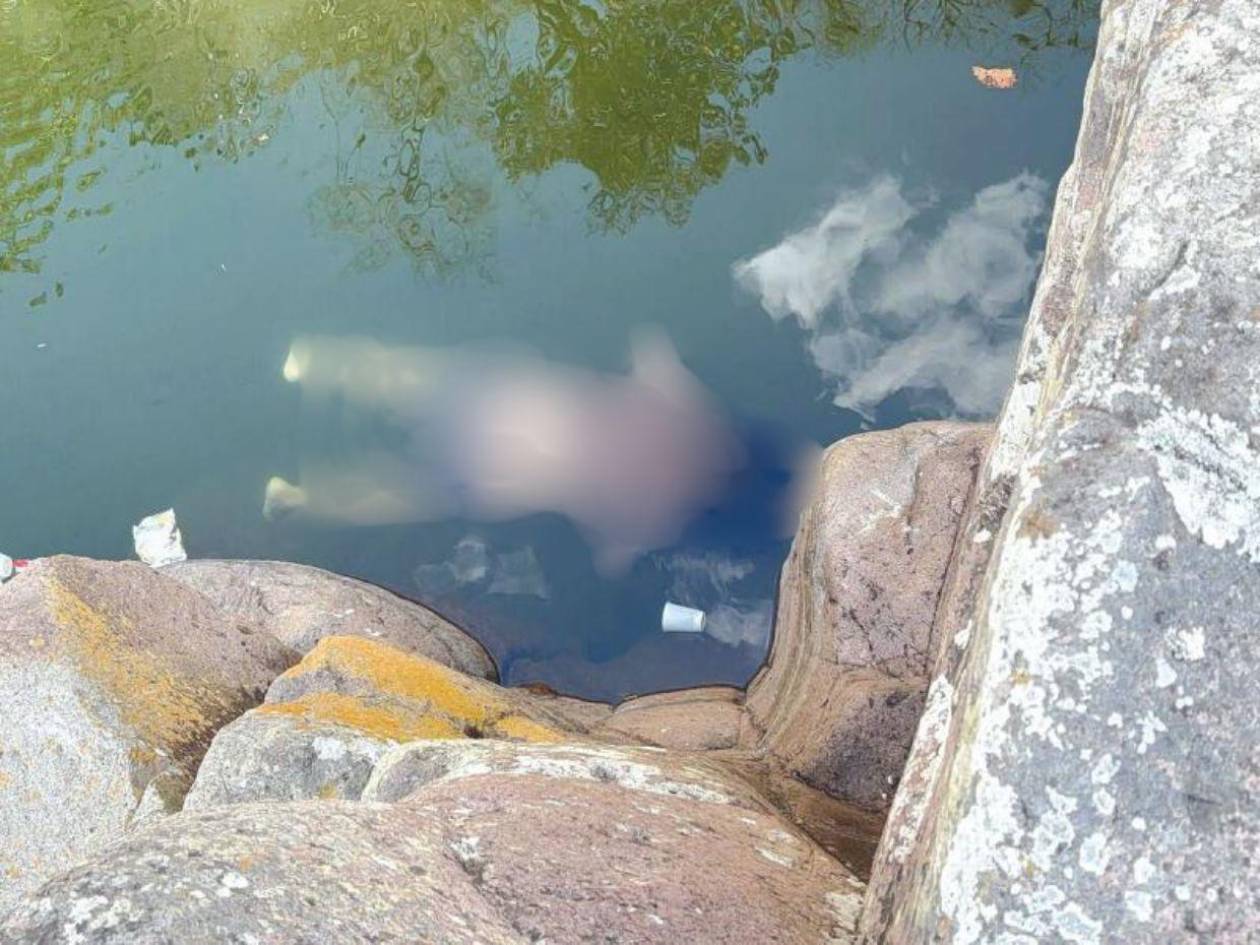 Encuentran el cuerpo de una mujer flotando en una poza de Ojojona