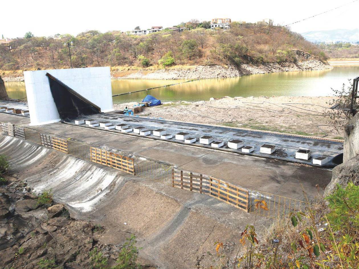 Dos veces por semana tendrán agua los que la reciben de Los Laureles
