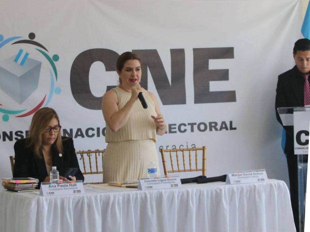 Biometría para elecciones avanza entre ausencias, tensiones y un único oferente