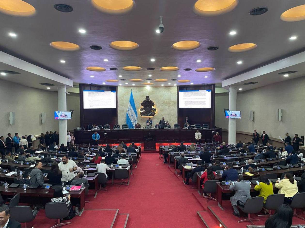 Congreso Nacional iniciará lectura y debate del presupuesto especial solicitado por el CNE