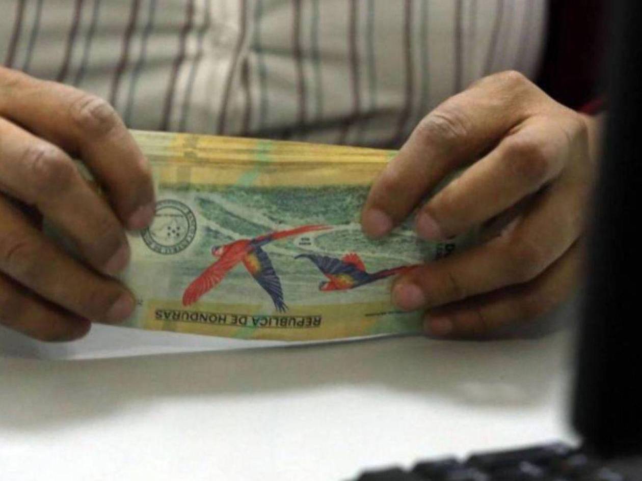 ¿Cómo impactó el alza de la tasa de interés en la cartera crediticia?