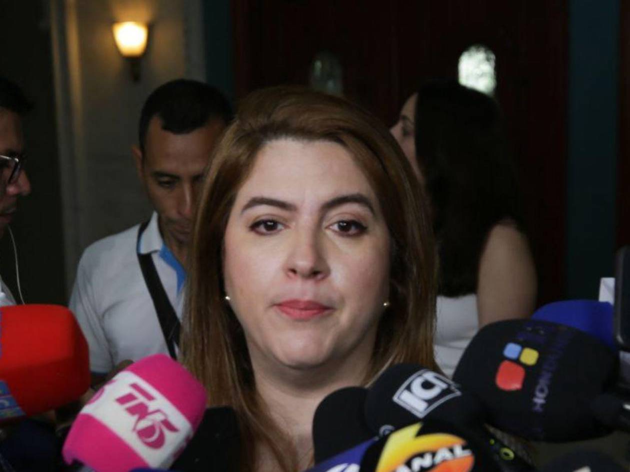 CNE habilita transmisión en vivo de escrutinios especiales