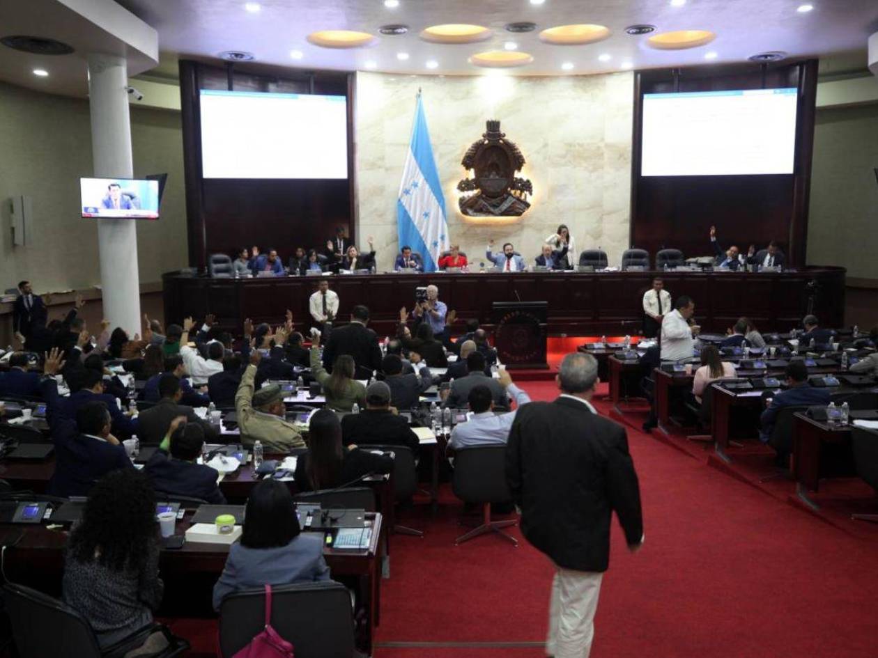 Oposición exige aprobar presupuesto electoral sin vincular préstamos de la CAF