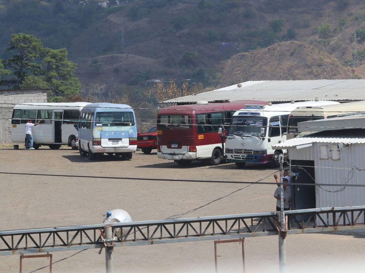 Gobierno adeuda L 200 millones en bonos a transportistas de la capital