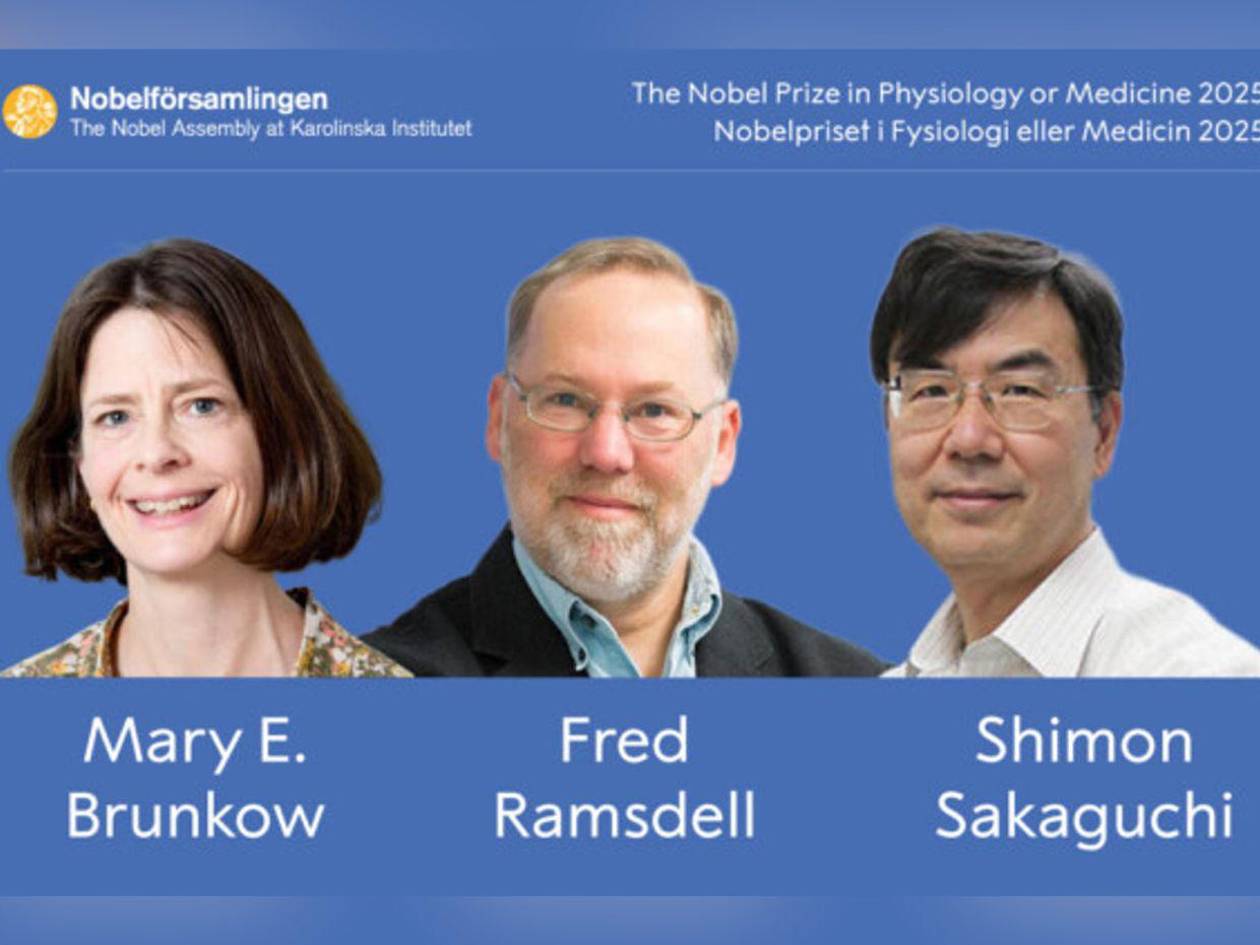 Entregan Premio Nobel de Medicina a tres científicos por la tolerancia inmunológica periférica