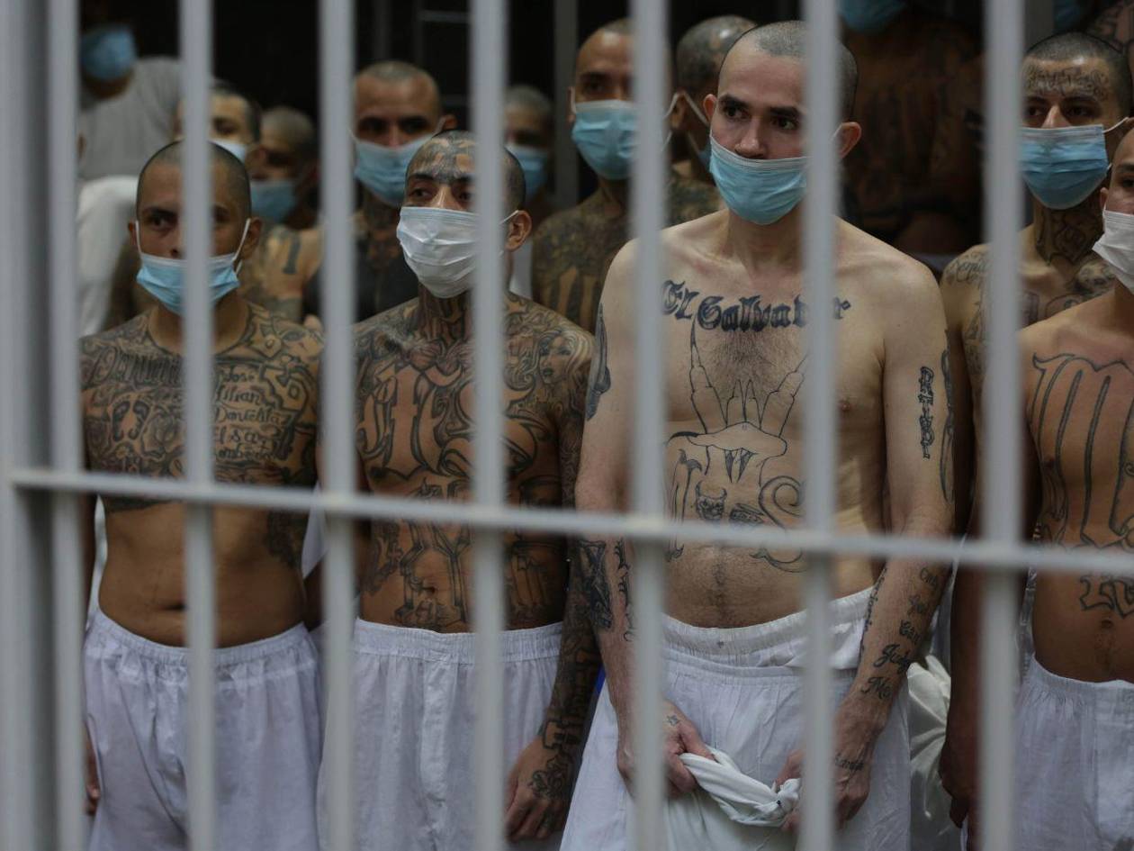 Coronel Múñoz: Si los declaran terroristas, en seis meses limpian a Honduras