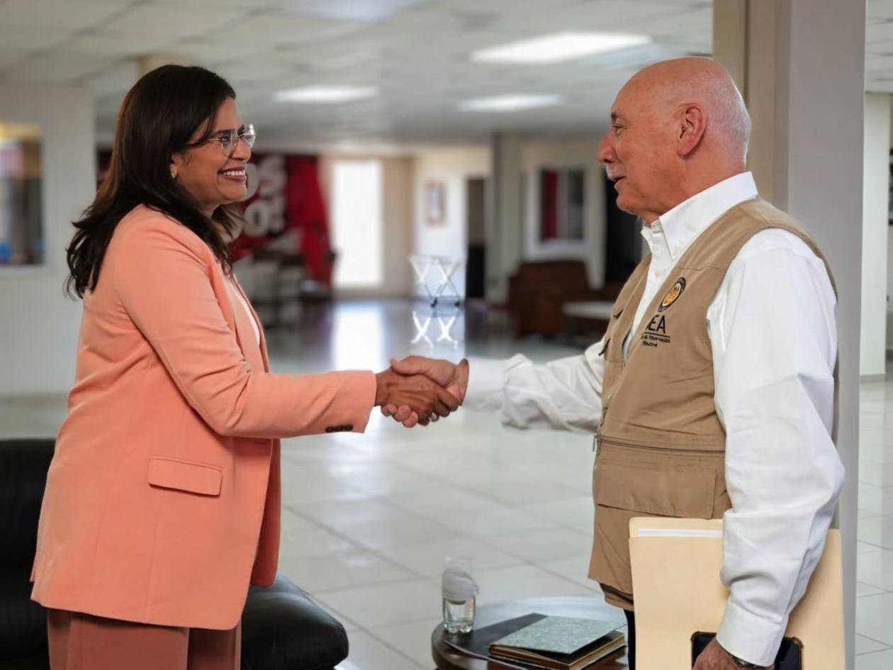 Rixi se reunió con los miembros de la Misión de la OEA para hablar sobre el proceso electoral