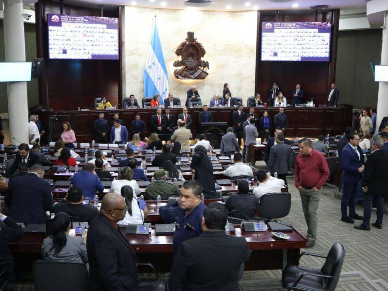 Diputados exigen a la ministra de Salud aclarar fallido proceso de licitación