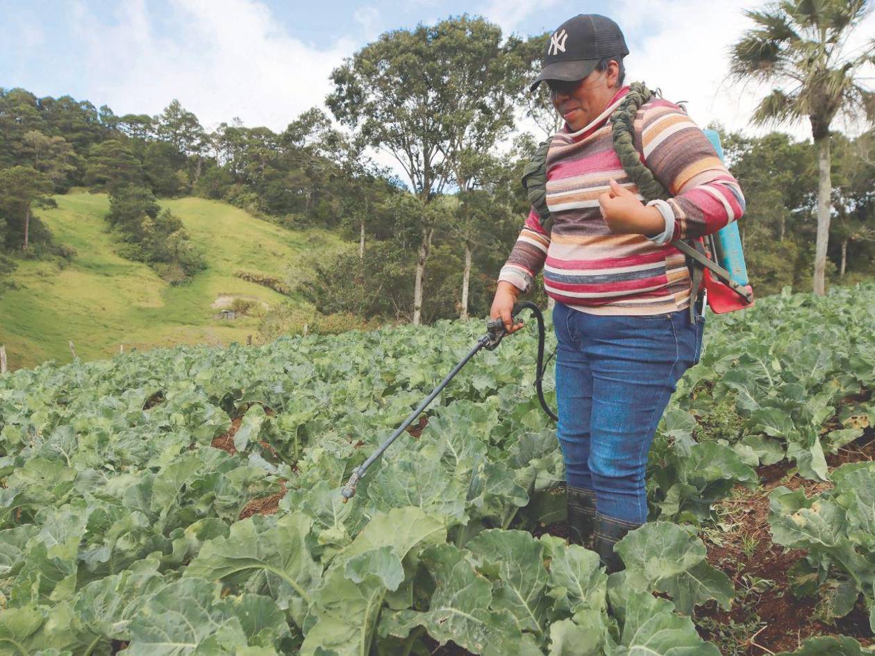 Carmen Martínez, una inspiración del campo que alimenta a familias