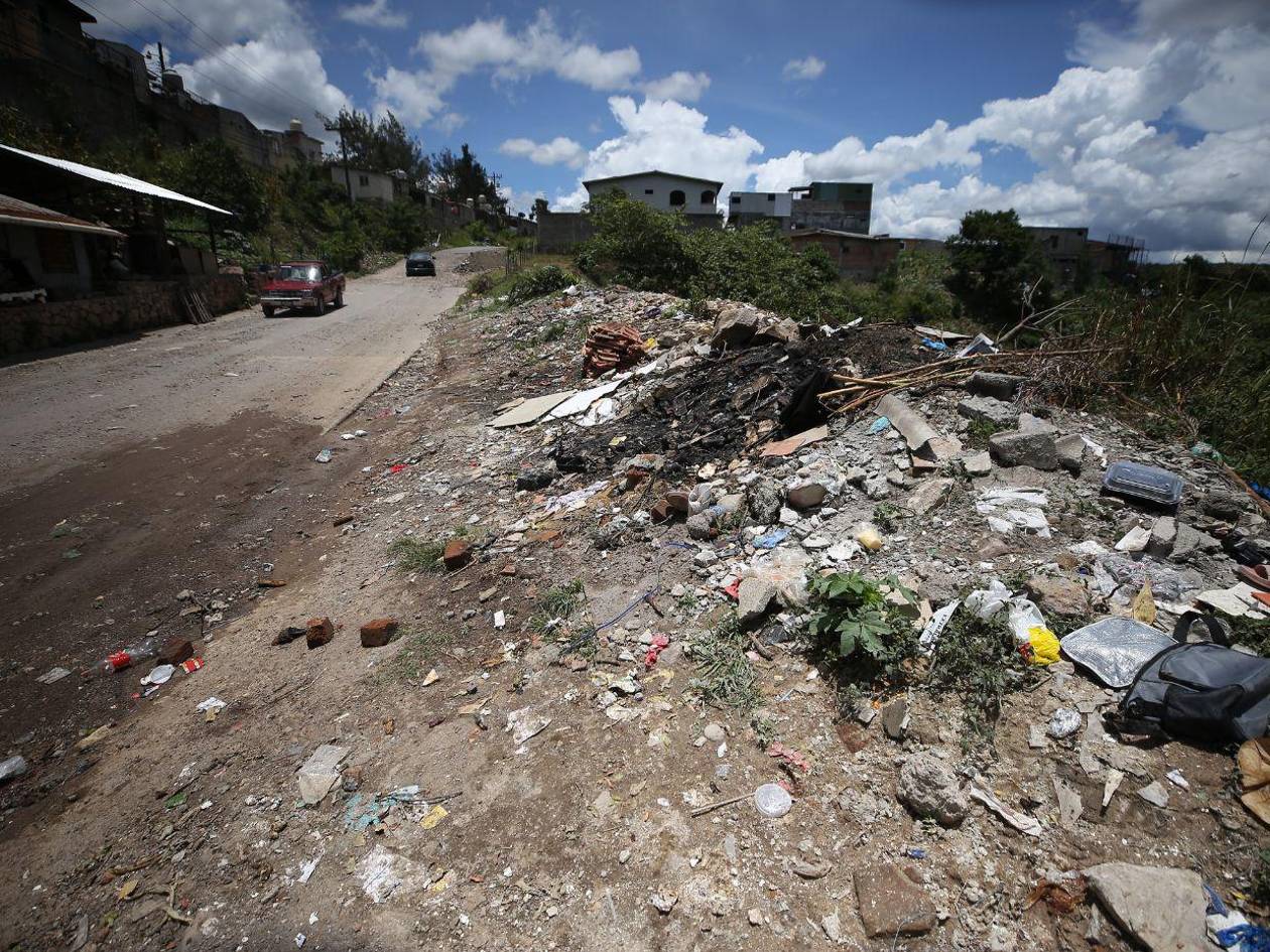 Vecinos de la Reynel Fúnez afectados por olores de animales muertos