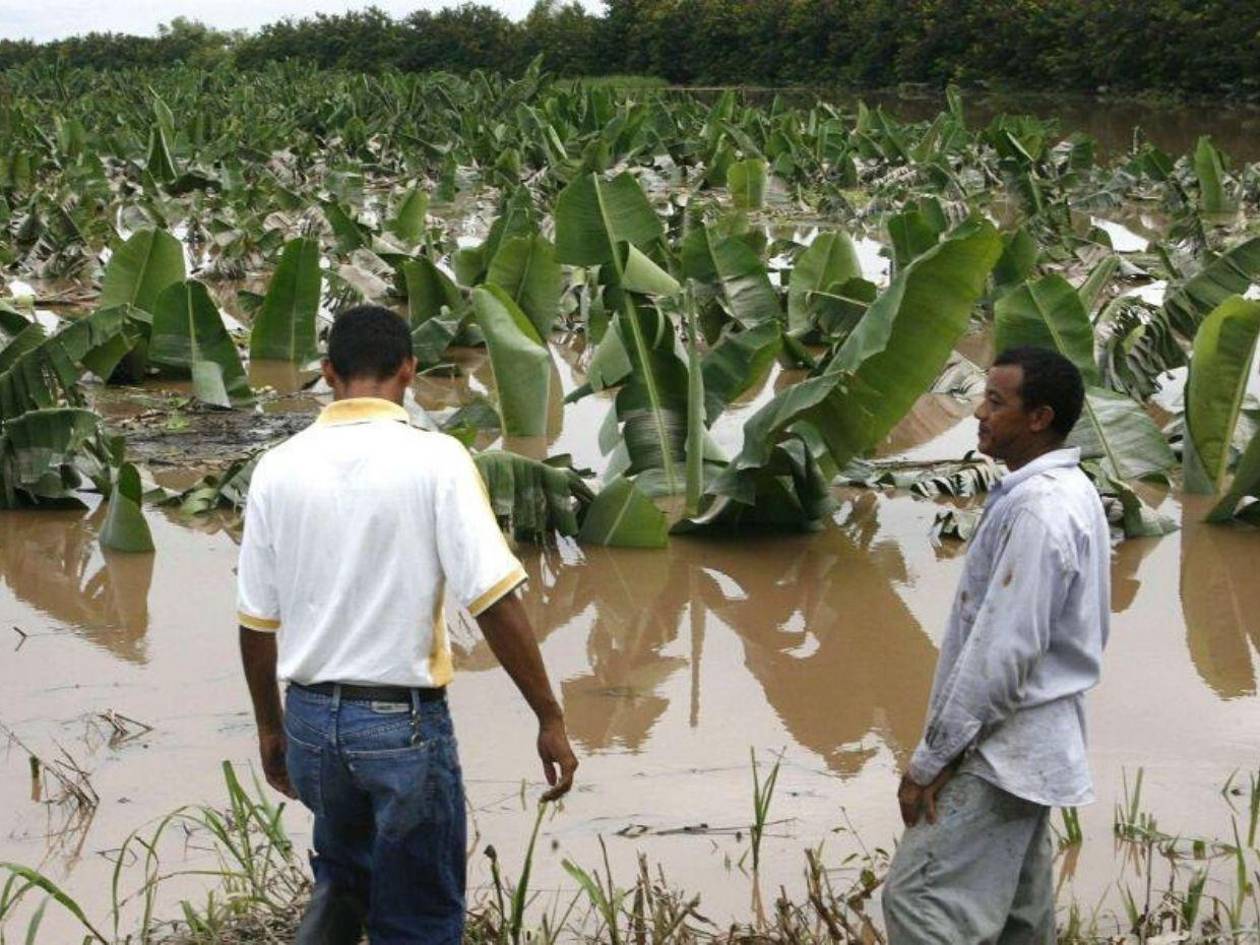 Fenómenos climáticos extremos afectan la producción y encarecen la canasta básica