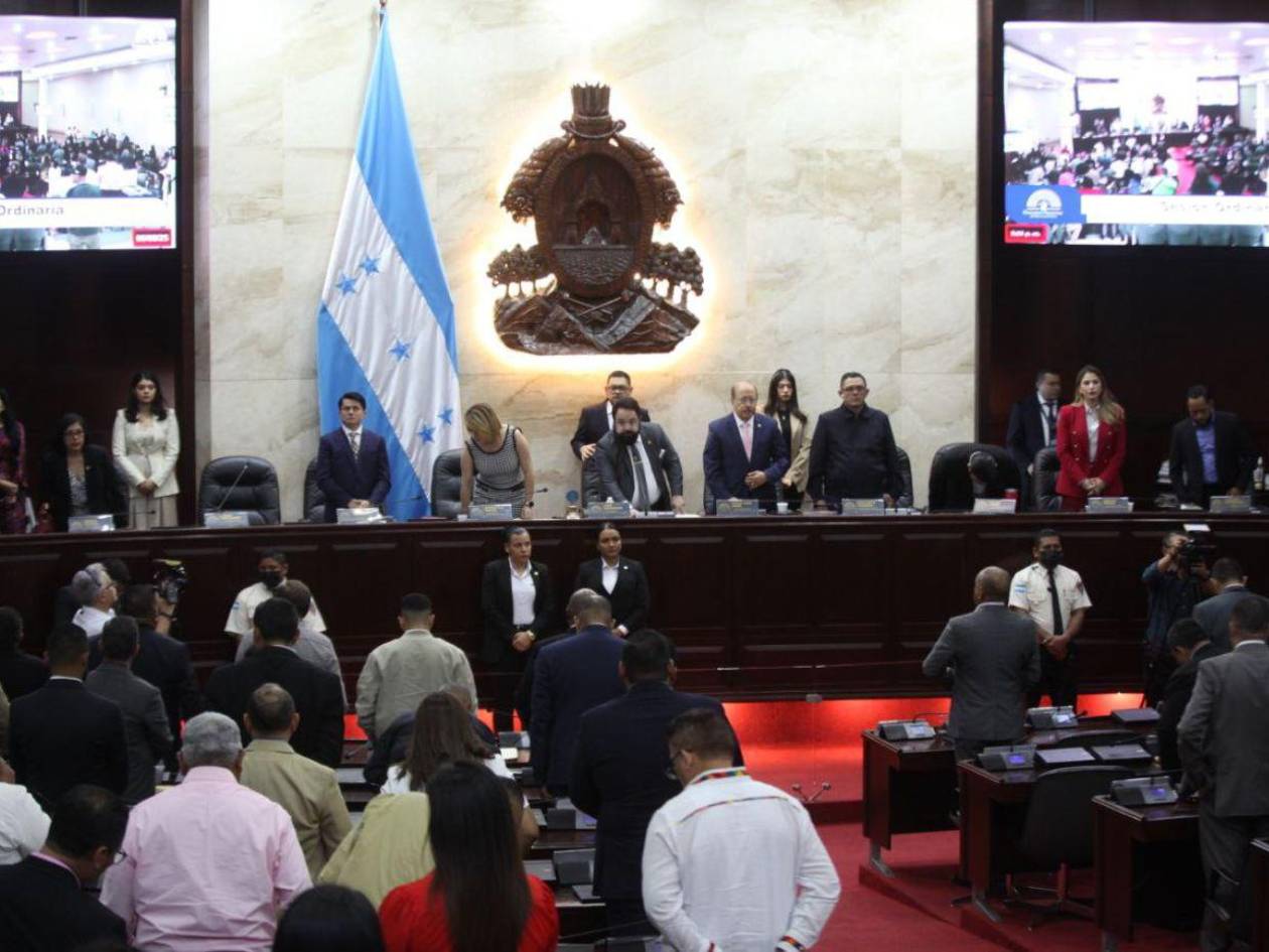 CNE solicita al Congreso Nacional extender adjudicación del TREP