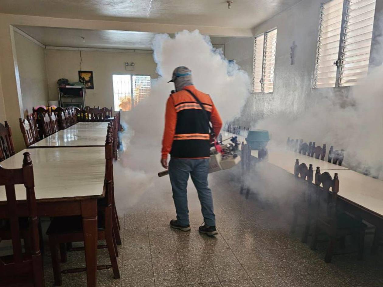 Copeco realiza jornadas de fumigación en escuelas de la capital