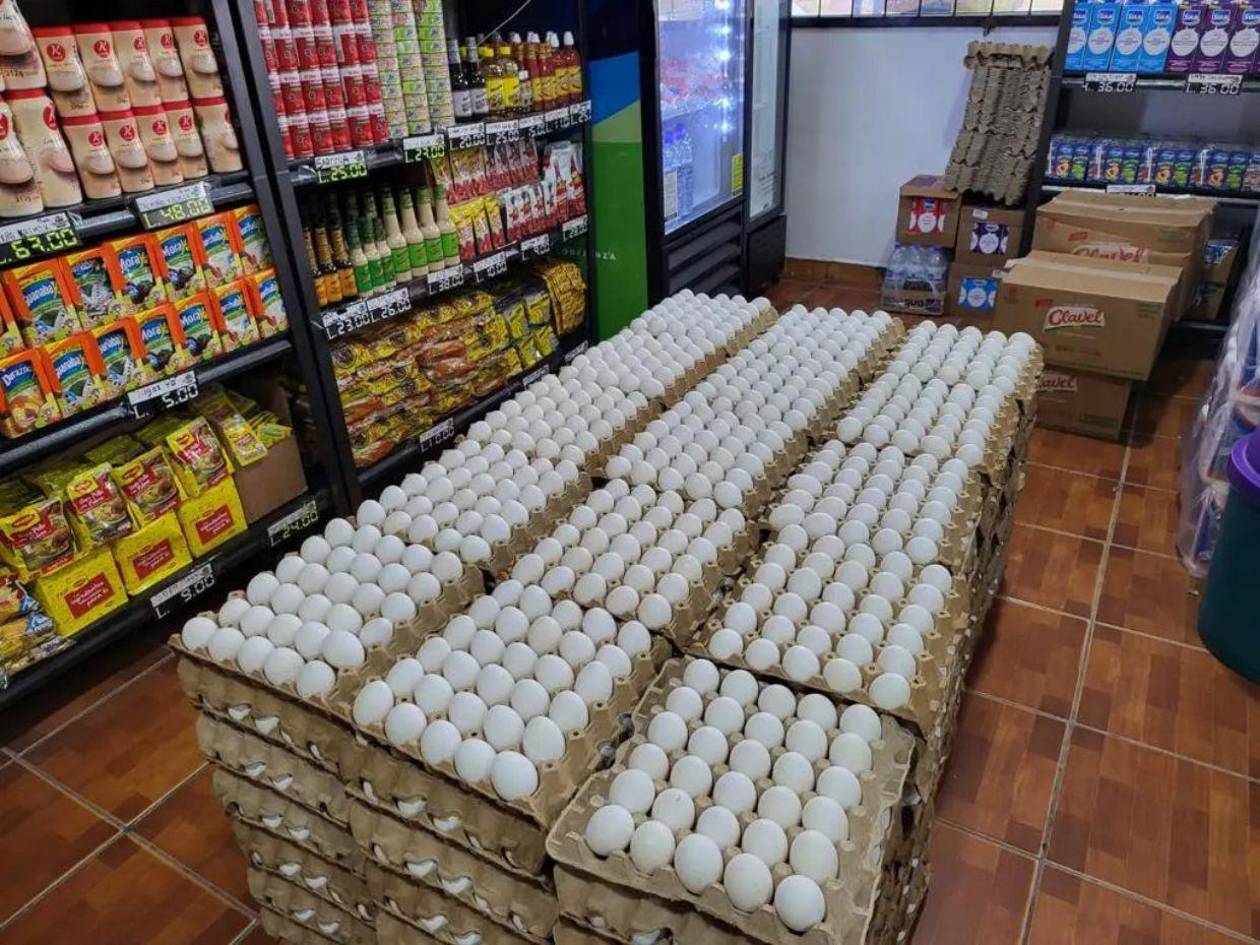 Familias recibirán huevos como ayuda alimentaria desde septiembre