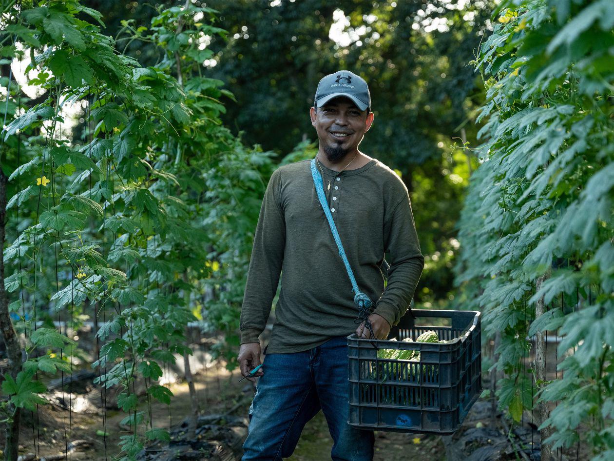 Alianza estratégica entre USAID y FHIA impulsa la agricultura sostenible en Honduras