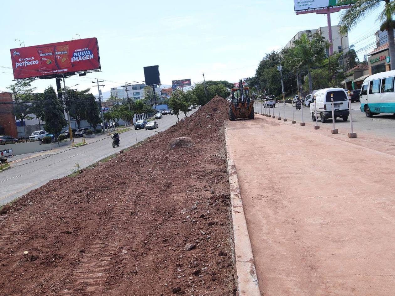 Denuncian corte de árboles por trabajos en el túnel hacia Florencia