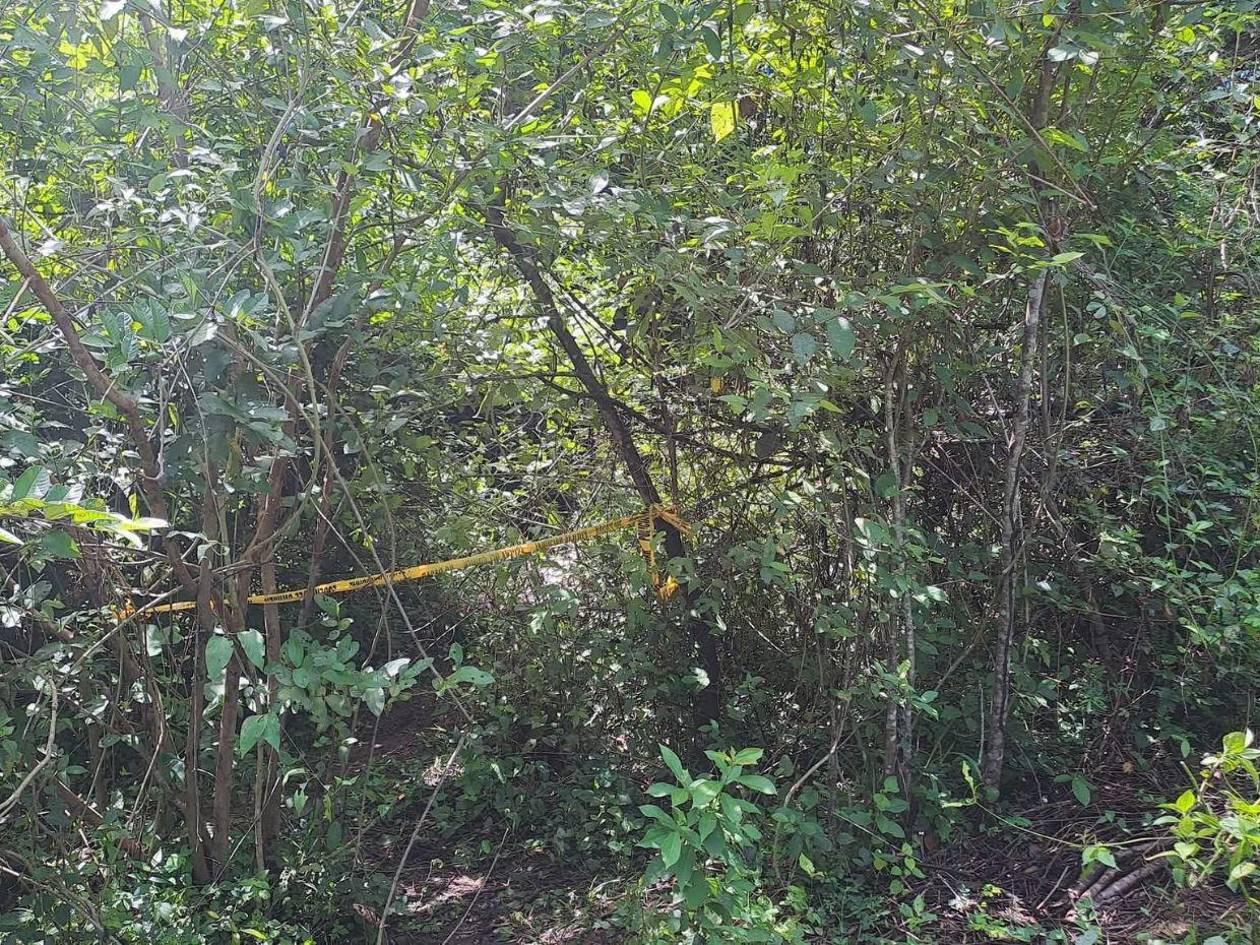 Hallan el cadáver de una mujer en medio de una zacatera en Santa Bárbara