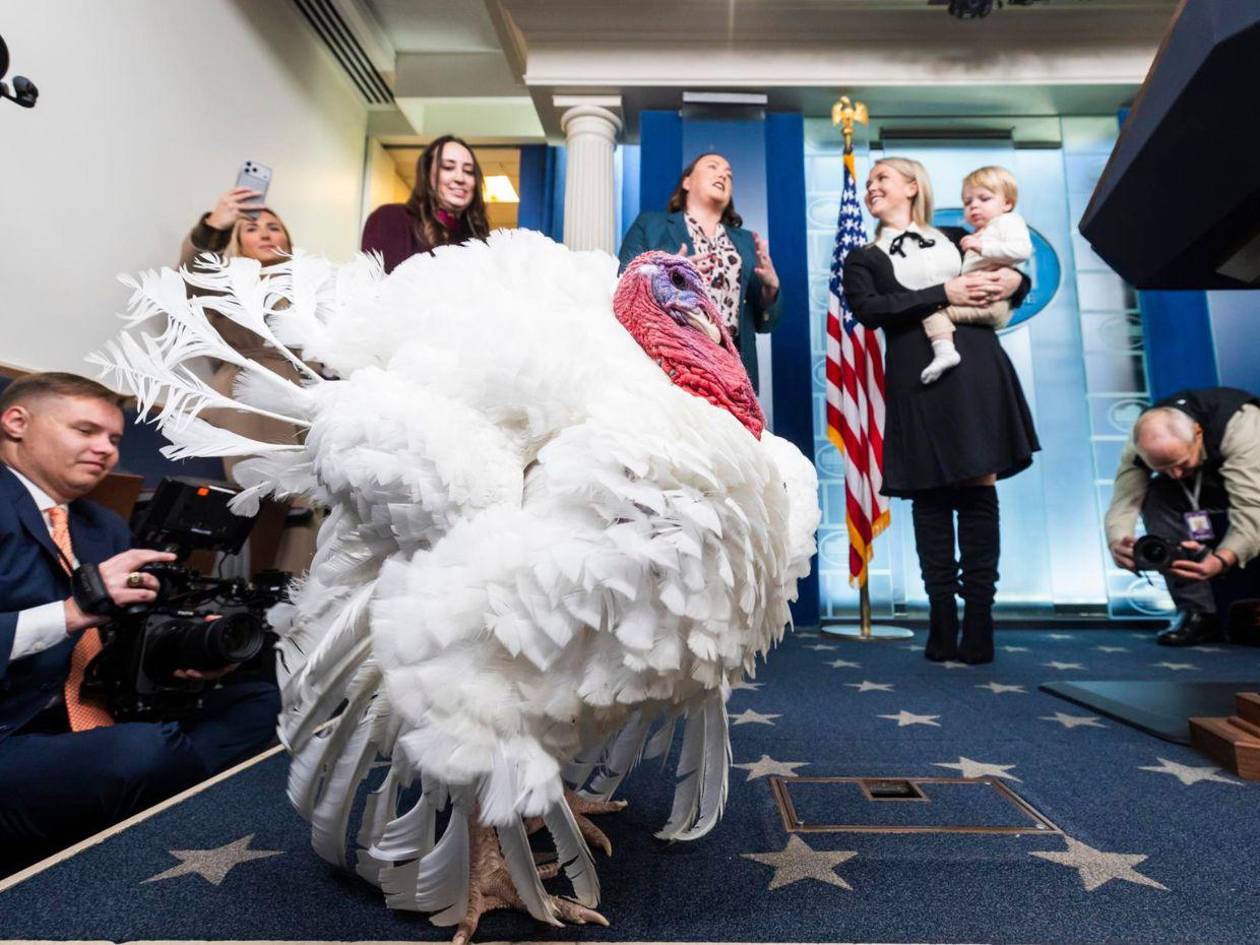 Trump indulta a dos pavos por Acción de Gracias y anula los perdones otorgados por Biden