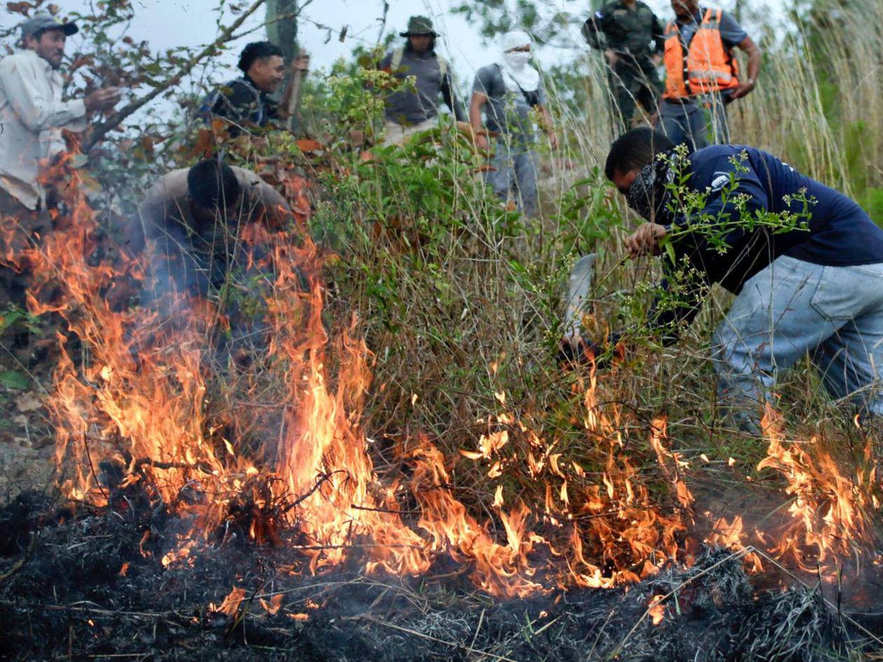 FF AA combaten nueve incendios forestales durante el fin de semana