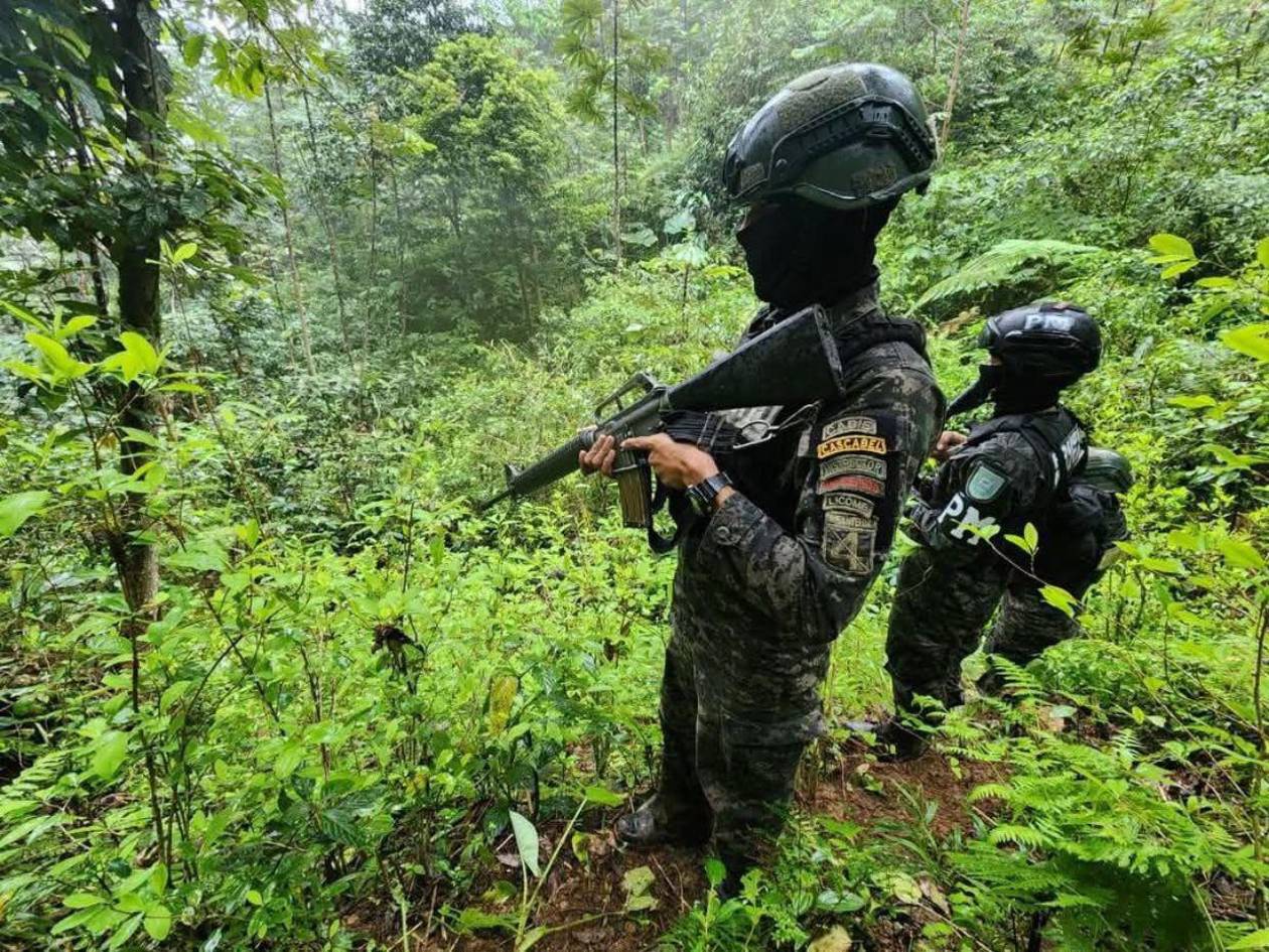 Desmantelan narcolaboratorio y aseguran 15,000 arbustos de hojas de coca en Atlántida