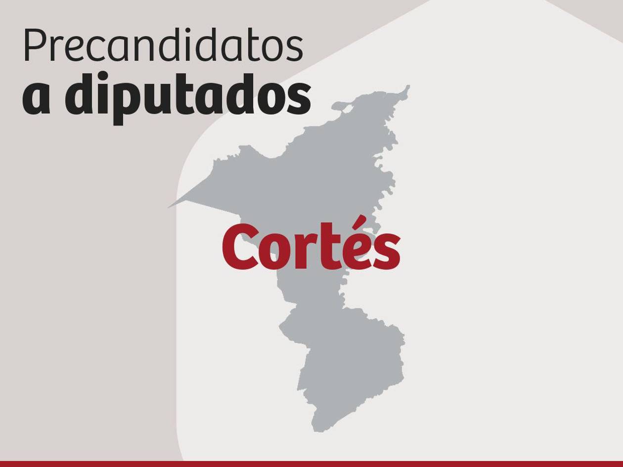 Precandidatos a diputados en elecciones primarias por Cortés