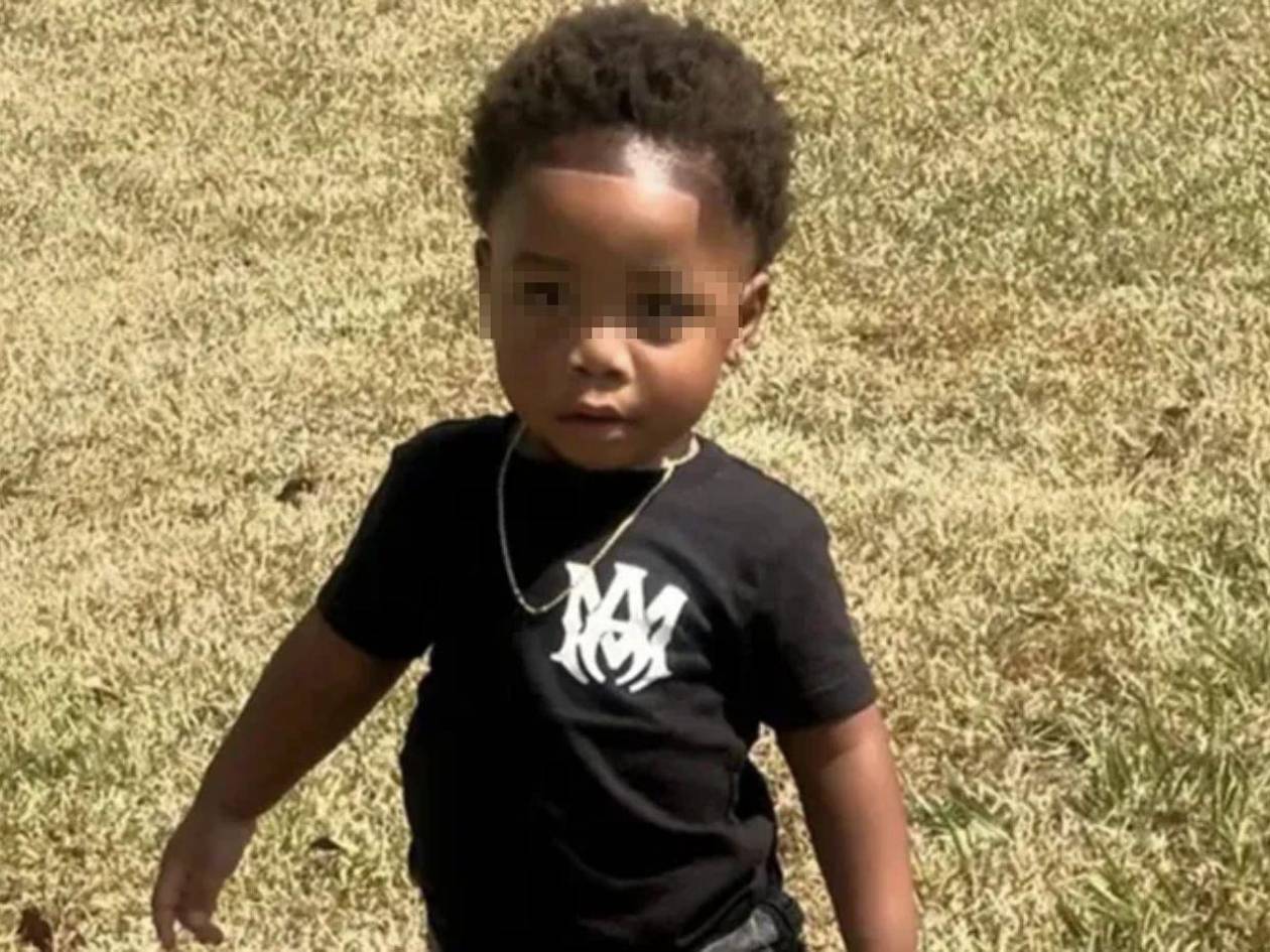 Niño de dos años muere tras ser atacado por perros en su guardería en Georgia