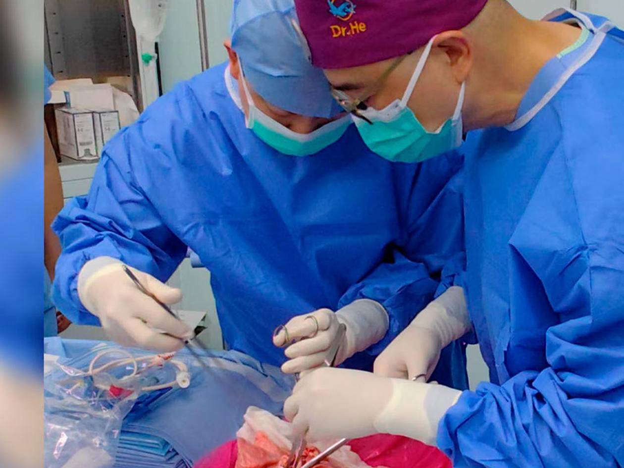 Realizan el primer trasplante de pulmón de cerdo a un humano en muerte cerebral