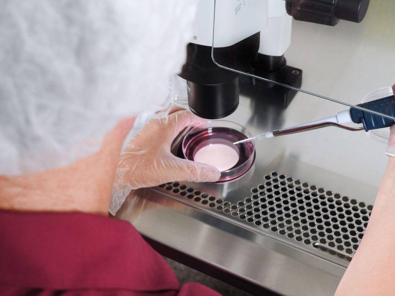 Estudio: encuentran microplásticos en fluidos reproductivos humanos