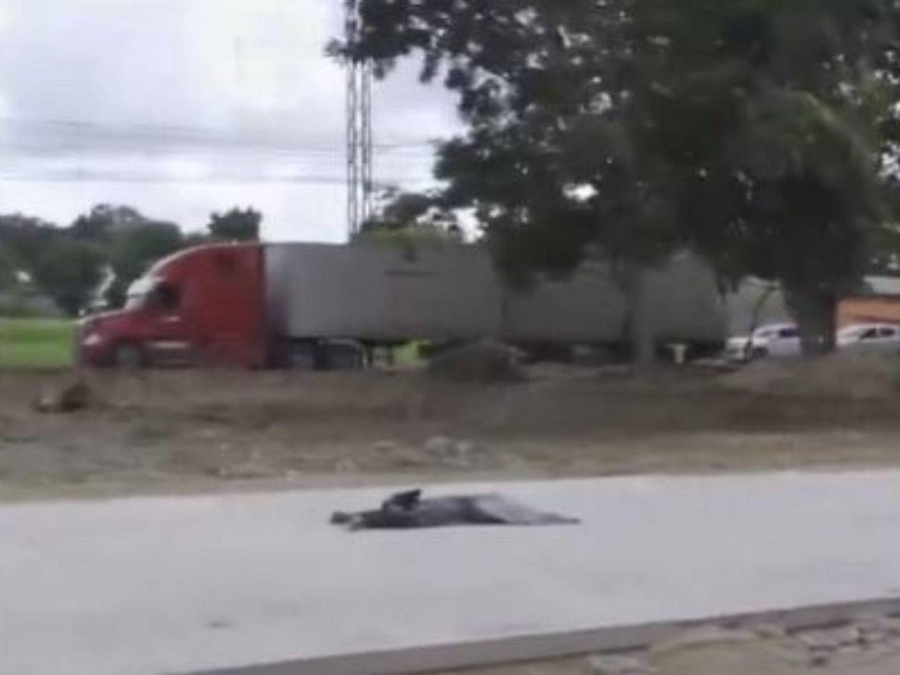 Matan a disparos a un hombre en el barrio Cabañas de San Pedro Sula