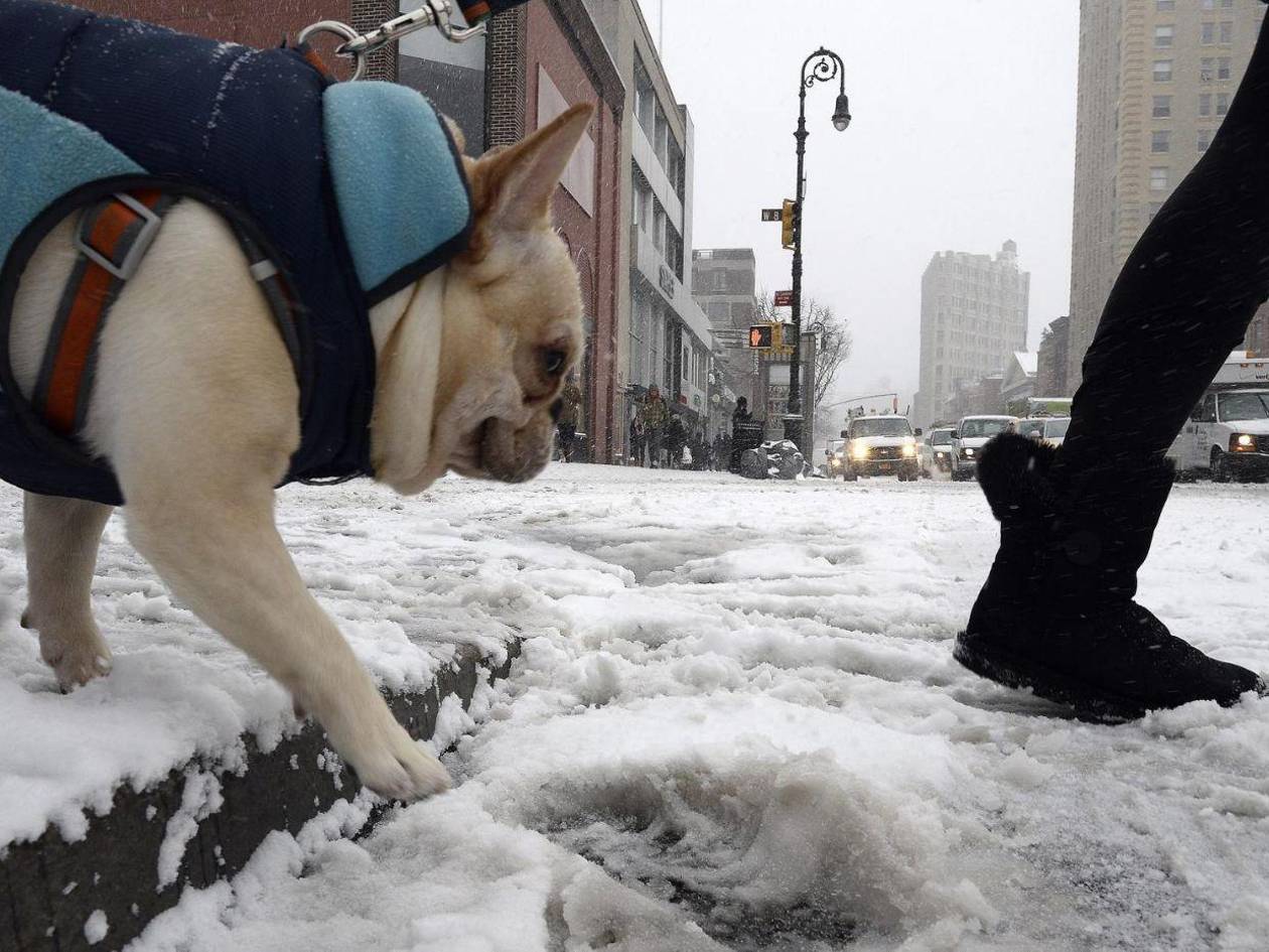 Tormenta Kingston: tres muertos y récord de bajas temperaturas en EE UU