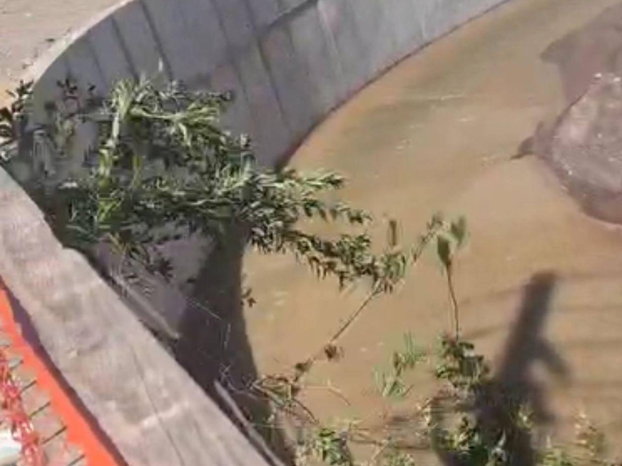 Denuncian a hombre por lanzar ramas en la quebrada La Orejona en el barrio Morazán