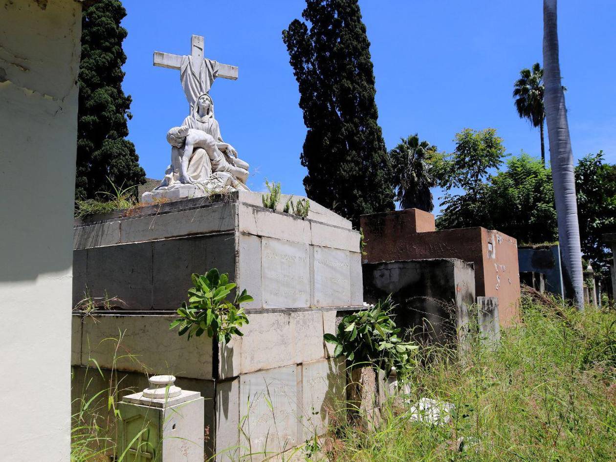 Cementerio General de Tegucigalpa luce inundado de maleza por falta de personal