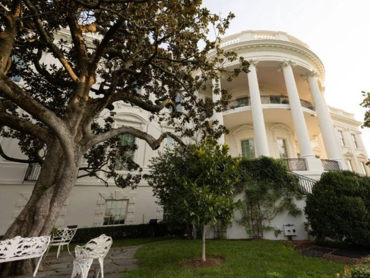 Casa Blanca dice adiós a un árbol de 200 años por deterioro en su jardín