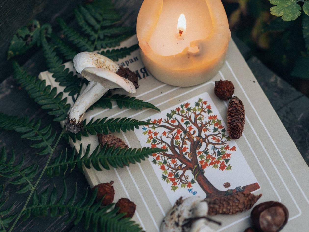 Equinoccio de primavera 2025: ¿Qué día inicia y rituales?