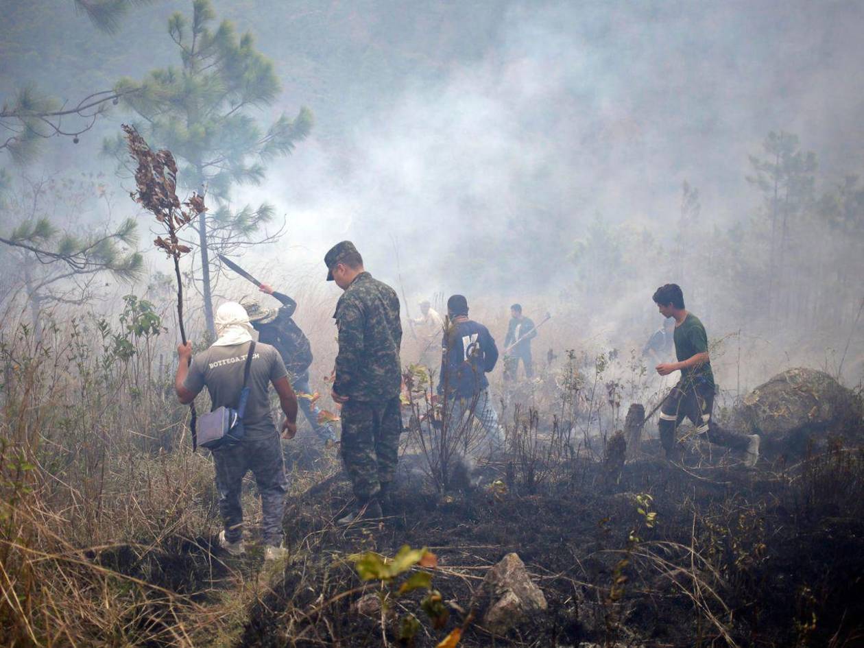 FF AA combaten nueve incendios forestales durante el fin de semana