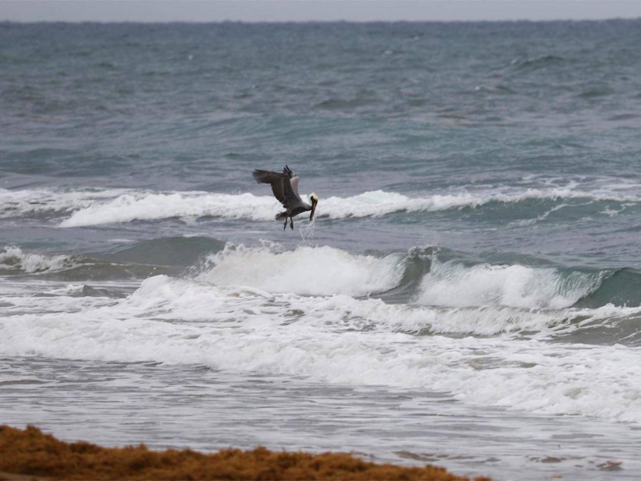 Puerto Rico se prepara para tormenta Erin que dejará fuertes marejadas y lluvias