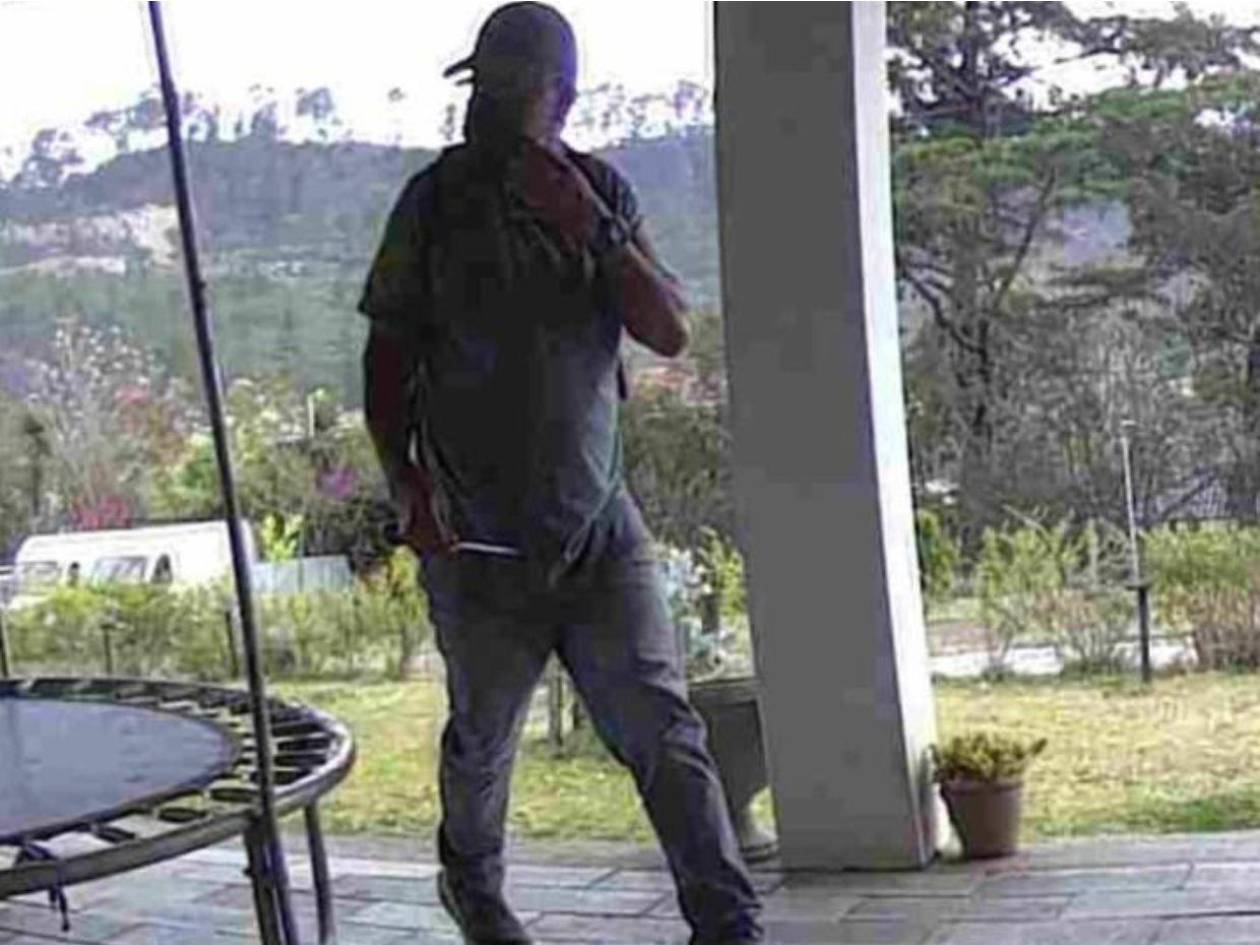 Hombre ingresa a robar vivienda y mata a varios perritos en Tatumbla