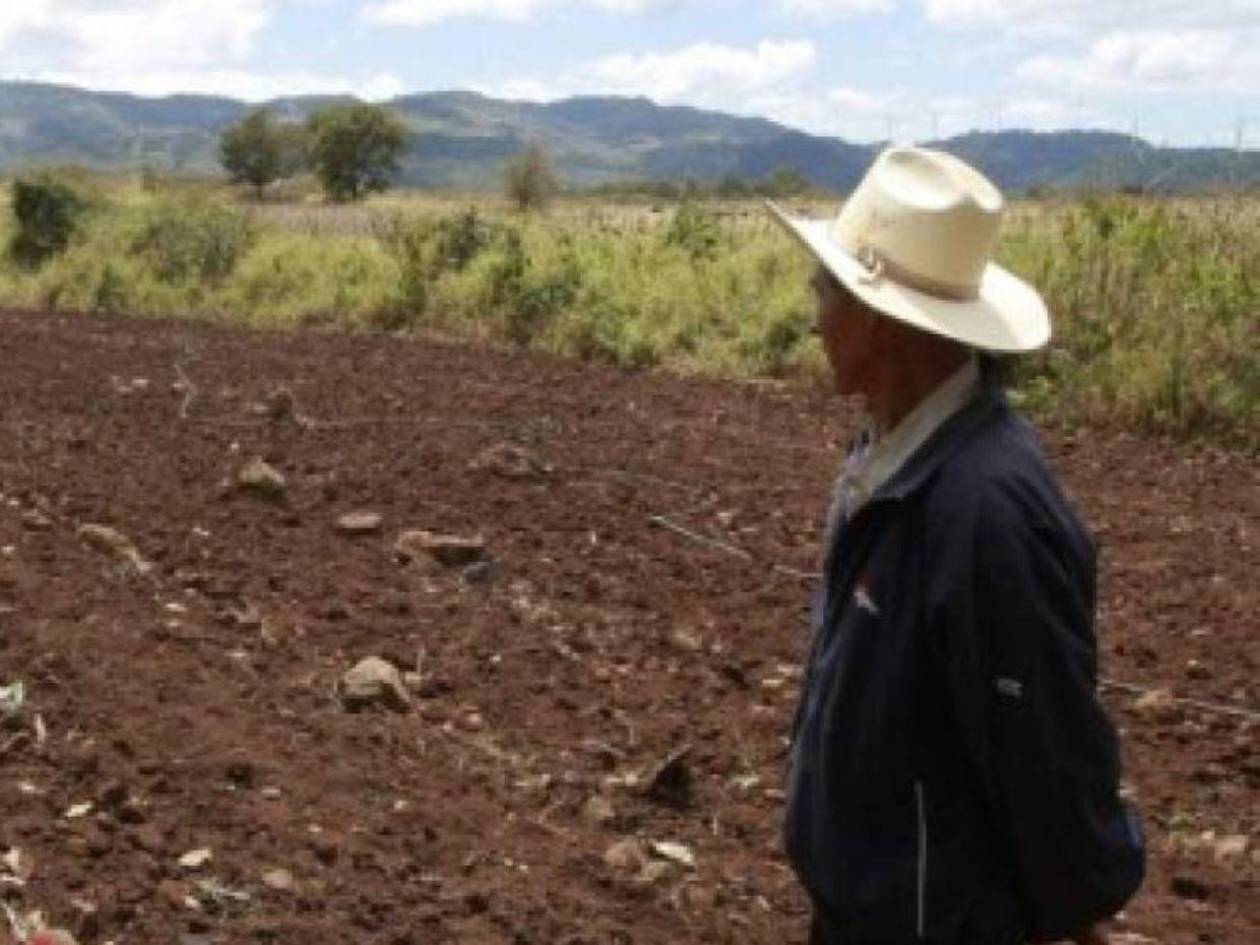 Inestabilidad climática pone en riesgo la siembra de primera en el país