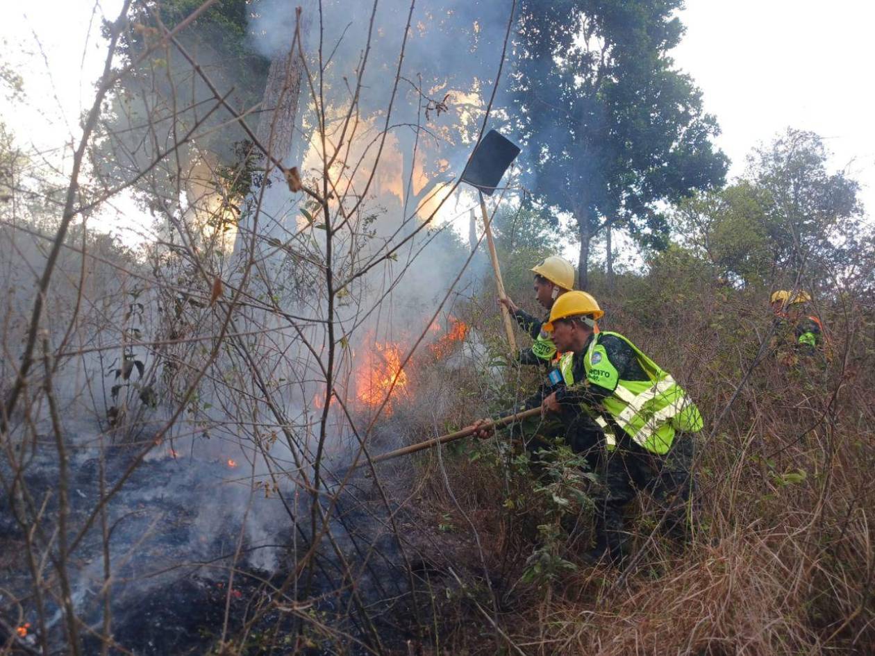Los incendios forestales se reducen en un 80 % este año, según el ICF